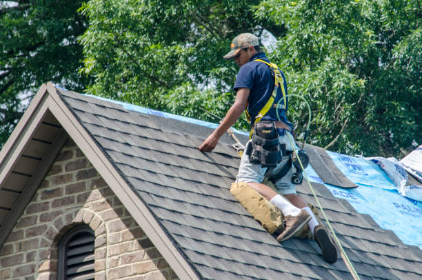 Best Metal Roofing Contractor  in Walker Valley, NY